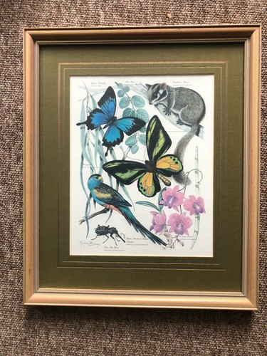 Signed marjorie blamey - signed,