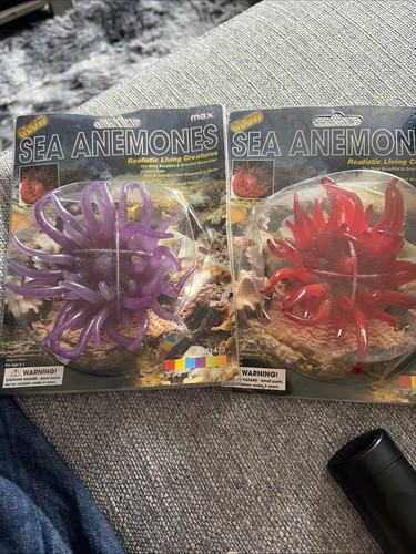 Glowing inch sea anemone - 4,