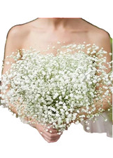 90 Heads Artificial Baby's