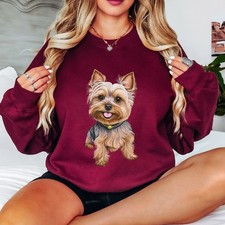 Yorkshire Terrier Dog Animals