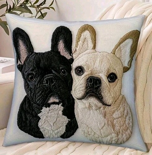 Beautiful french bulldog - x,