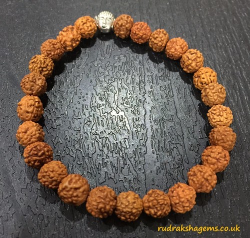 Rudraksha buddha budha - rudraksha,
