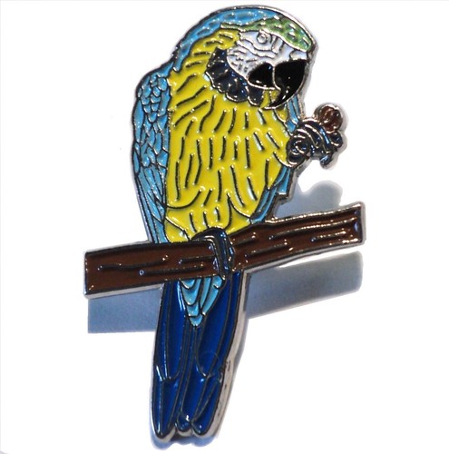 Yellow blue macaw parrot on - yellow, &