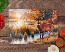 Deer Wildlife 8inchx11inch