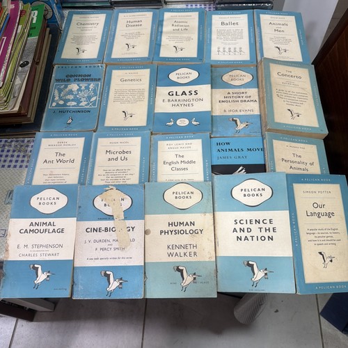 Pelican books english - pelican,