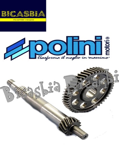 8138 polini primary - -,