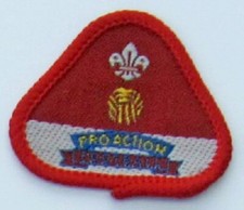 Cub Scout Proficiency Badge -