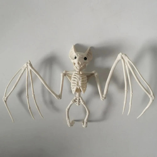 Halloween bat skeleton - halloween,