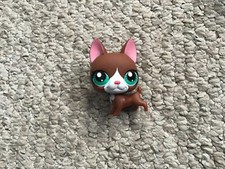 LPS Littlest Pet Shop Dark Brown Pink Ear Boston Terrier Dog