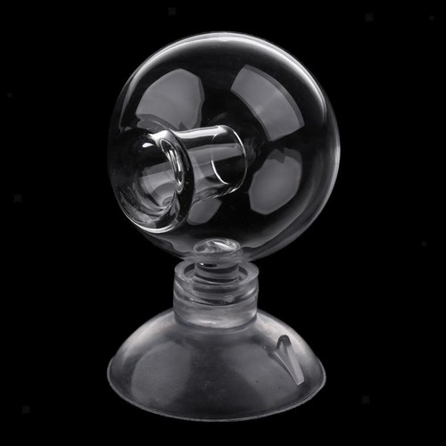 Aquarium aquatic co2 glass - aquarium,