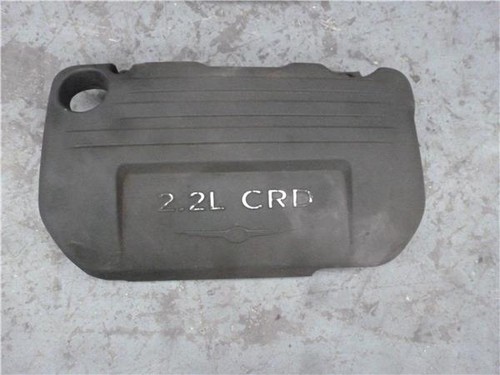 Engine protection gasket