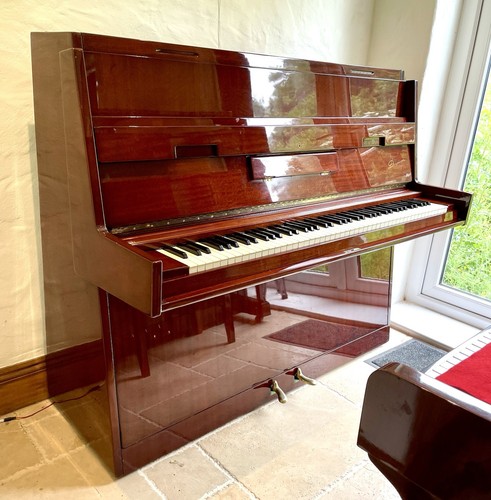 Danemann upright high - upright, gloss