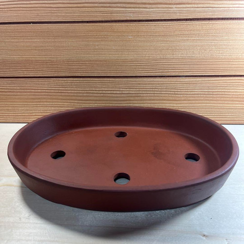 Very rare oval - very, "
