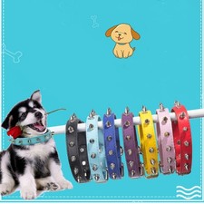 Cool Cat Dog Collar Leather