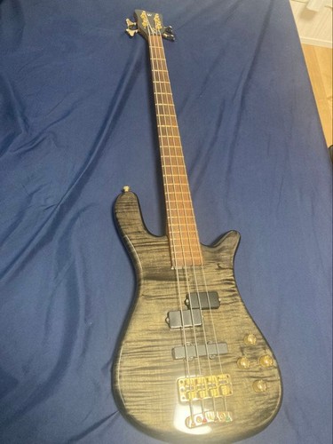 Warwick streamer electric - warwick, lx