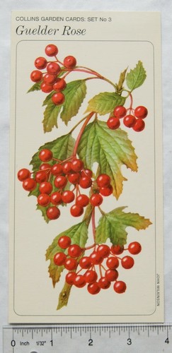 1969 collins garden cards set - collins,