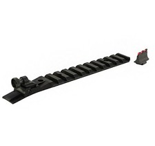 Williams Ruger 10/22 With