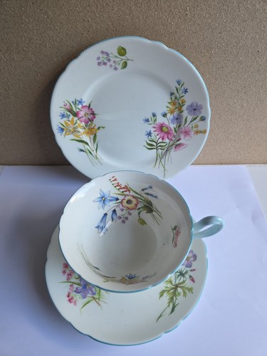 Shelley bone china - bone,