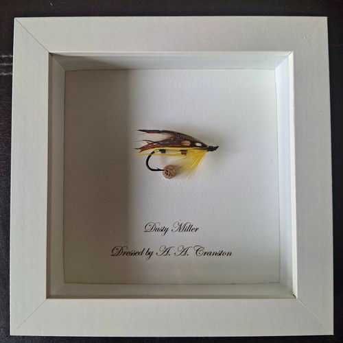 Gift for fishing enthusiast - gift,
