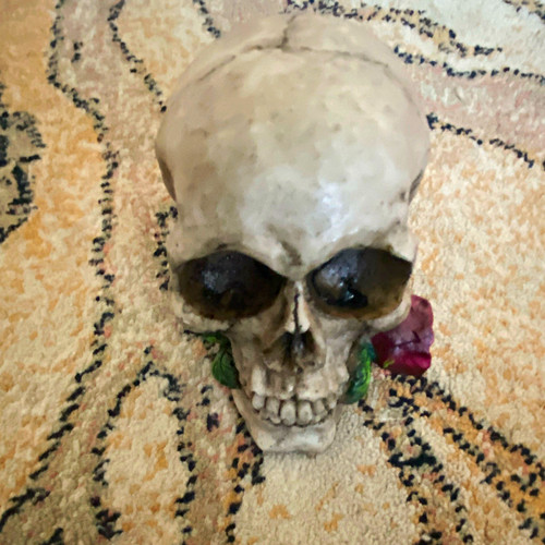 Resin gothic skull figurine - gothic,