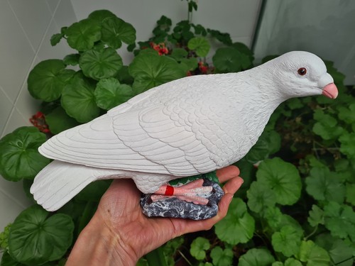Lifesize dove pigeon - dove,