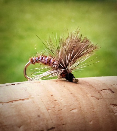 March brown emerger - 3x,