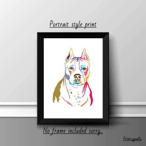 American staffordshire terrier - american,
