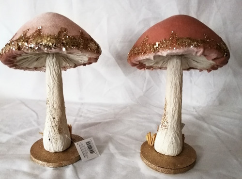 Mushrooms toadstools 11 - mushrooms, 11"