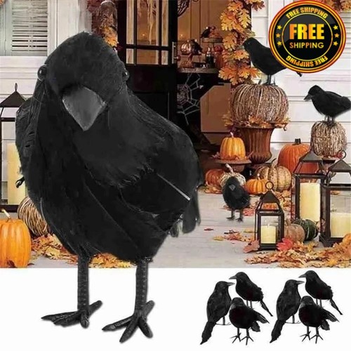 Black crow halloween prop - crow,