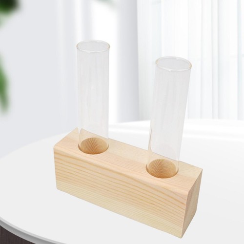 Glass test tube vase - test, planter