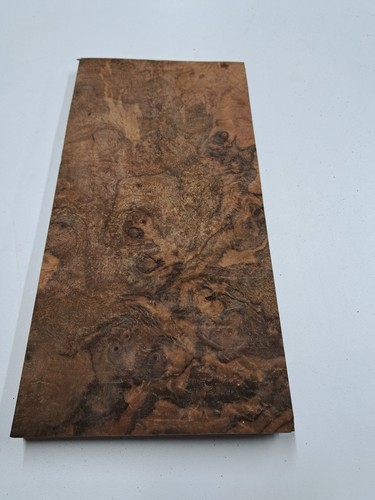 Burr walnut veneer - -, 1