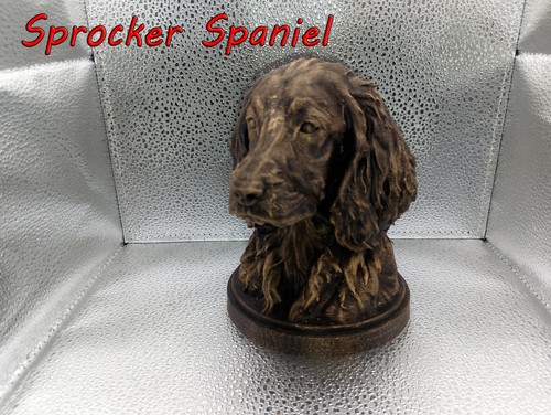 Sprocker spaniel bust - spaniel,