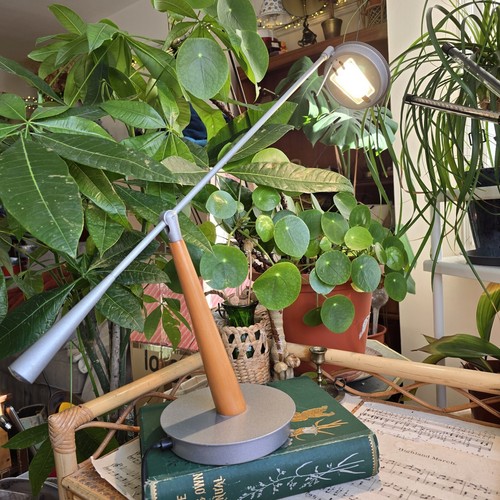 Vintage anglepoise desk lamp - anglepoise,