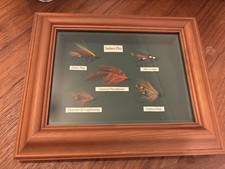 Framed Classic Salmon Fishing