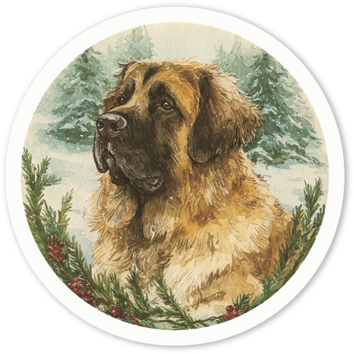 Leonberger dog portrait - 'leonberger, portrait'