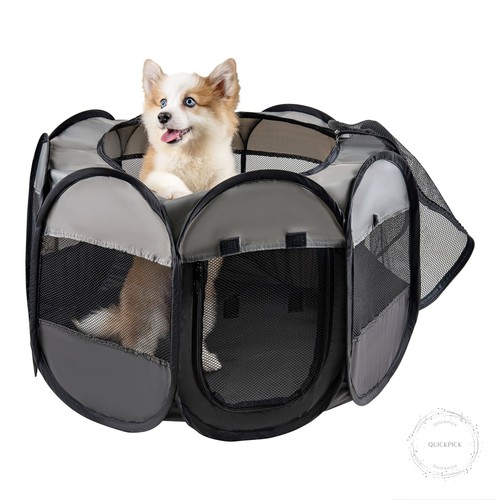 Lafyette usa based dog cat - dog,