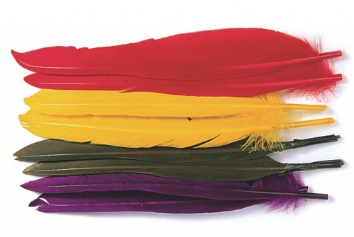 Veniard duck quills - quills, tying