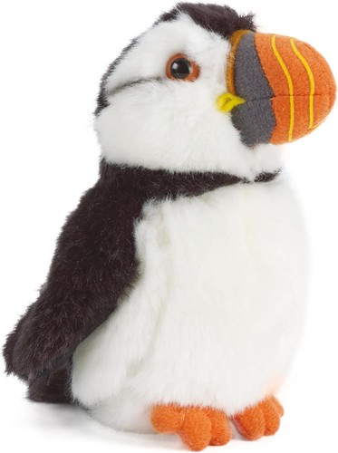Living nature small puffin - living,