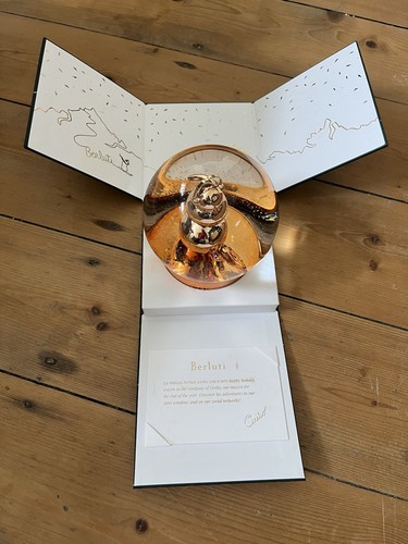 Authentic berluti paris vip - authentic,