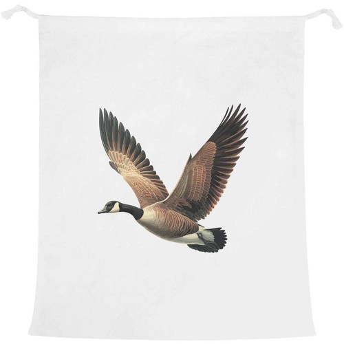 Canada goose flying - flying', laundry