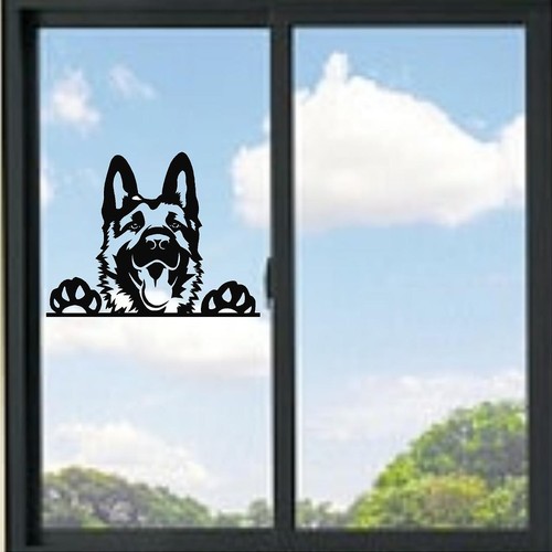 German shepard dog peeking - shepard,