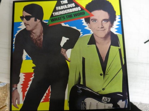 The fabulous thunderbirds - fabulous,