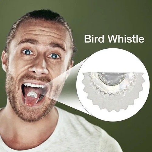 Bird wacky whistle magic fun - bird,