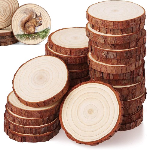 Natrual wood slices - slices, round
