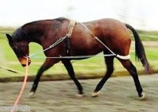 Horse Lunging Training Aids