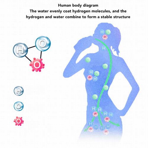 Hydrogen water bottle spe - water,
