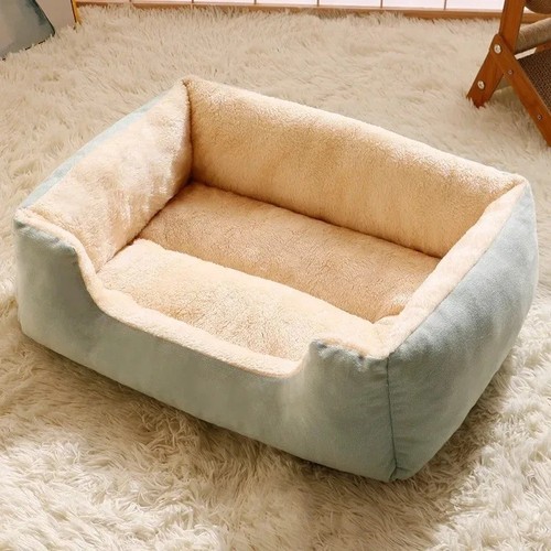 Dog cat pet - cat, calming