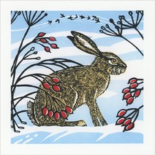 Snow Hare Light Brown Rabbit