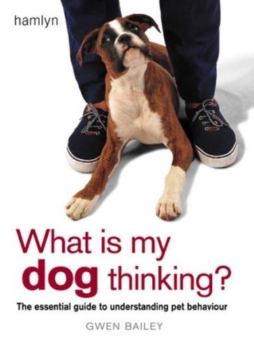 What dog thinking - dog, the