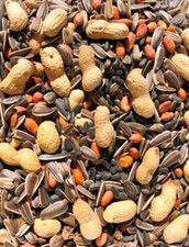 100% Premium Quality Squirrel & Chipmunk Seed Mix Wild Life Diet Supplement Food